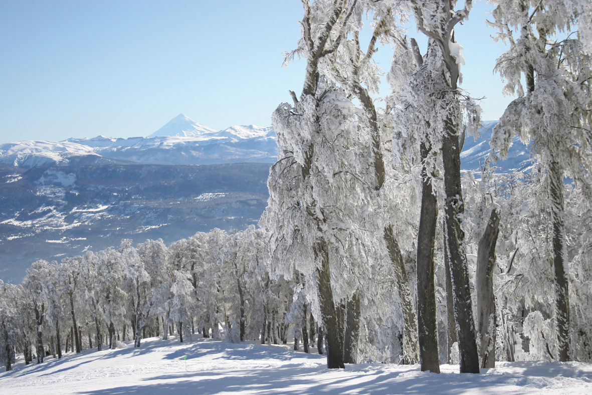 Bosque nevado del Cerro Chapelco con el volcán Lanín de fondo