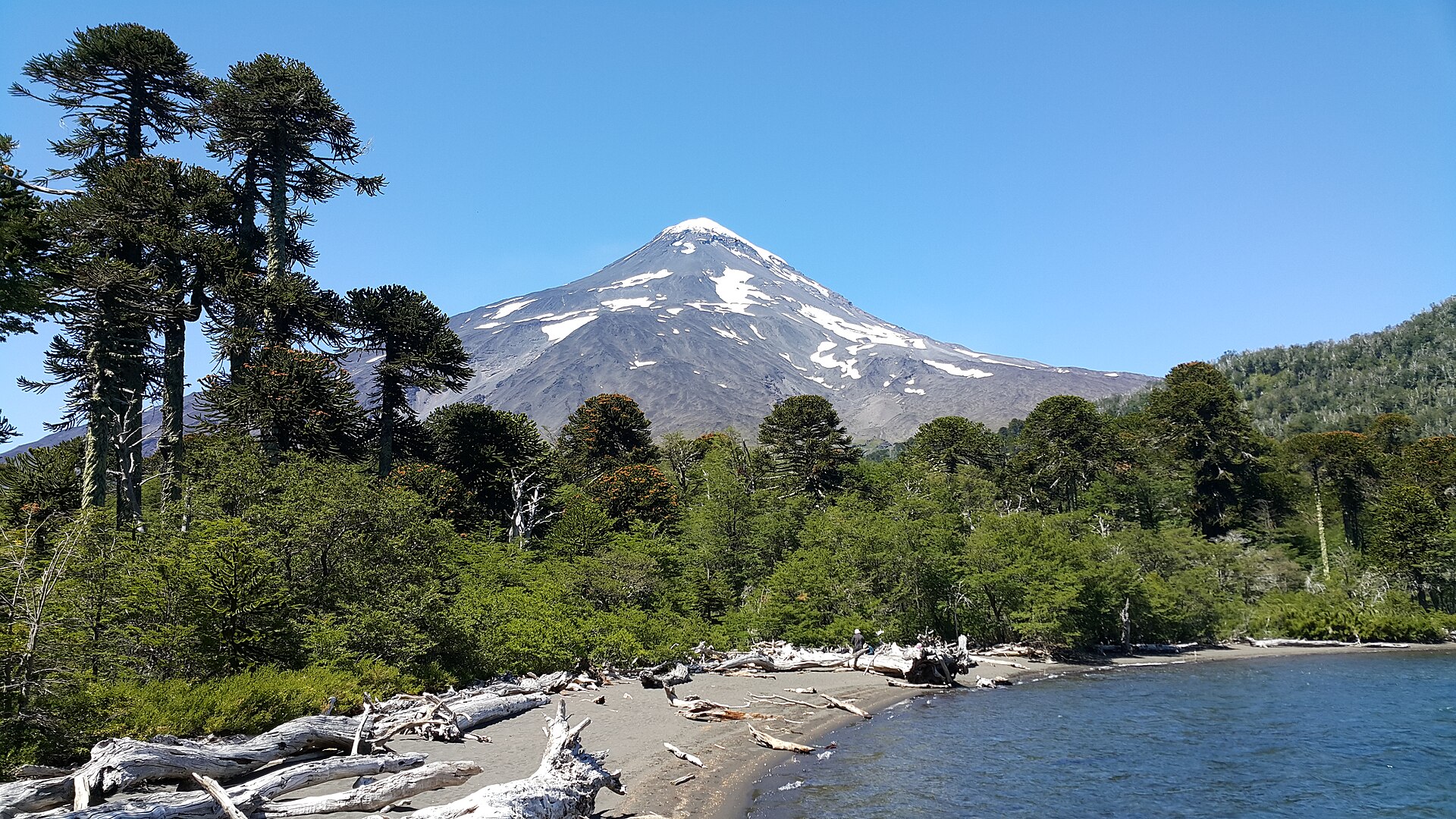 El Lanín de fondo en la ruta