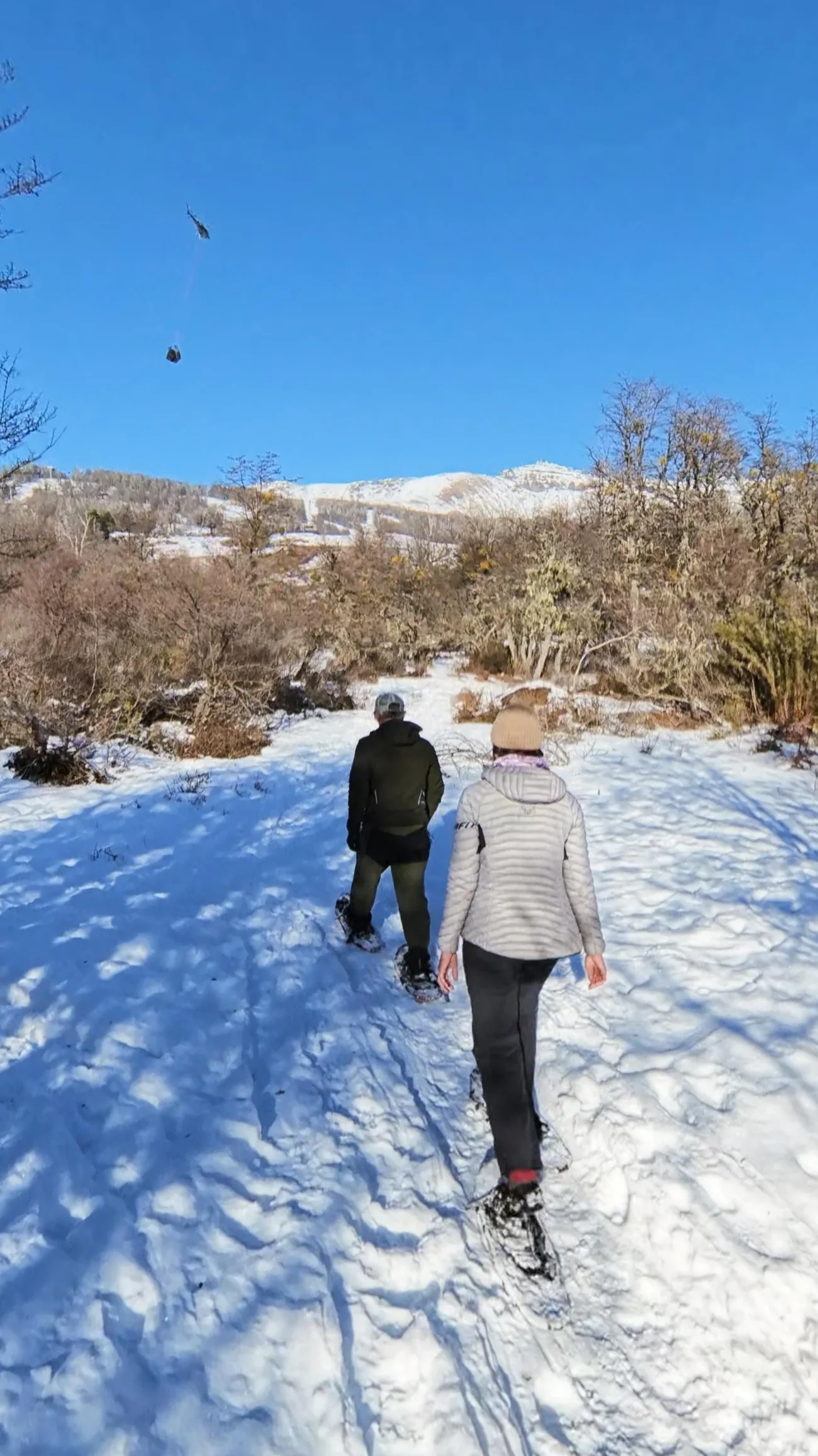 Caminata con raquetas sobre nieve en Cerro Chapelco
